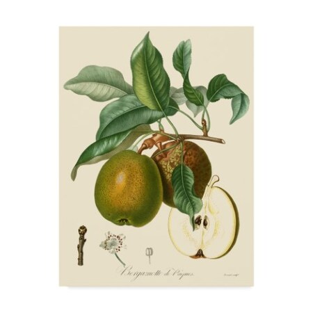 Trademark Fine Art Pancrace Bessa 'Bessa Pears' Canvas Art, 18x24 WAG03925-C1824GG